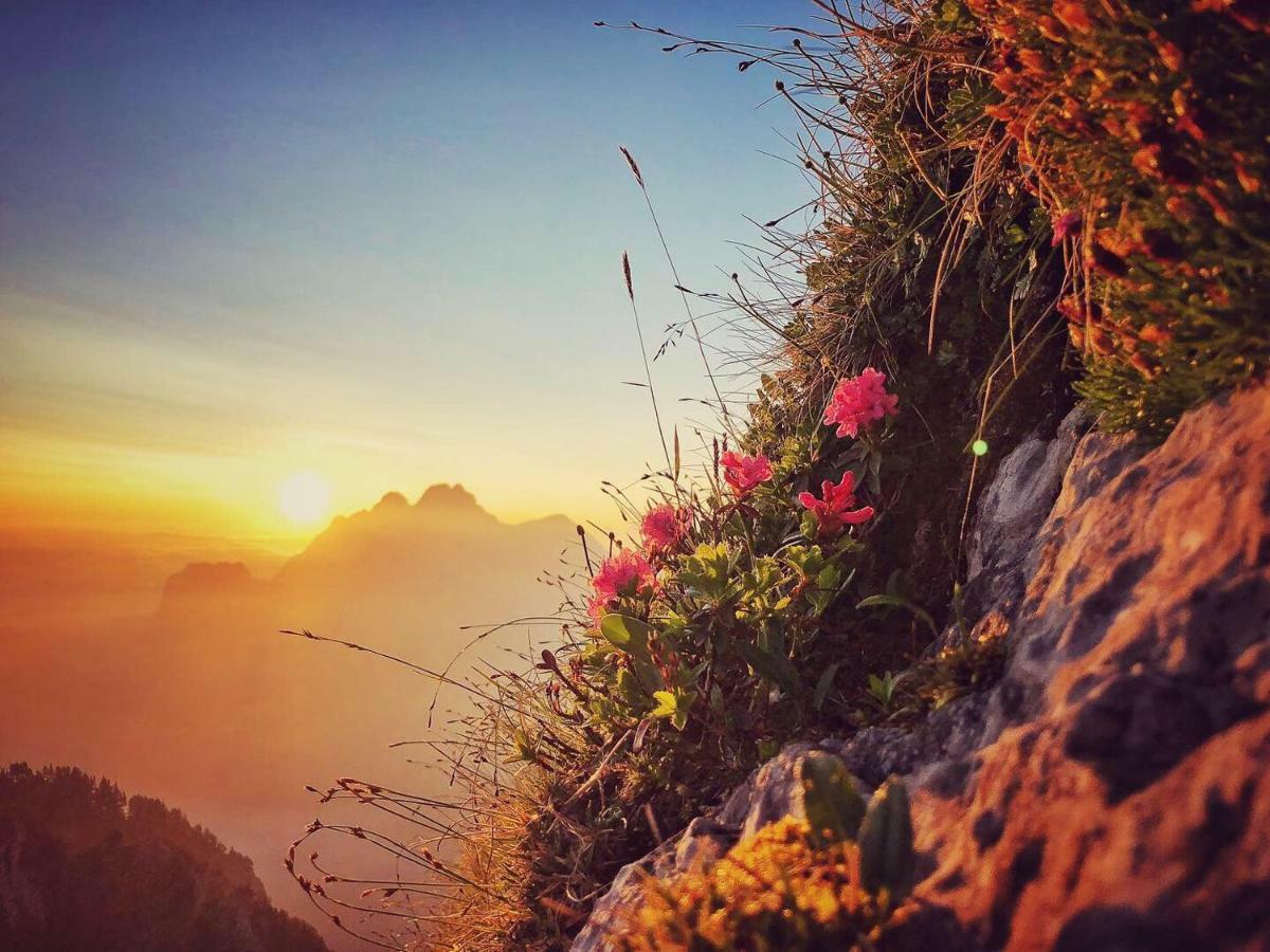 Family B&B Le Vieux Chalet Chateau-d'Oex Ngoại thất bức ảnh